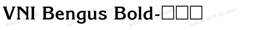 VNI Bengus Bold字体转换